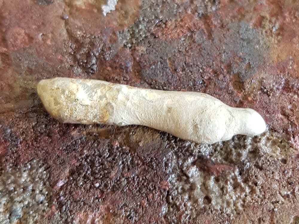 Het omgesmolten goud als een ruwe staaf op de soldeersteen